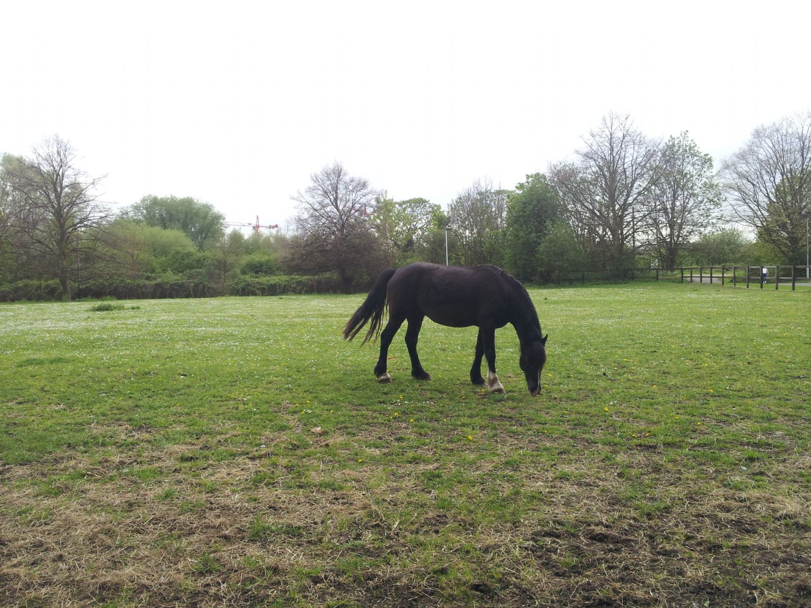 Lee Valley Riding Centre